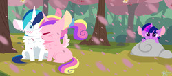 Size: 5000x2196 | Tagged: safe, artist:glitterstar2000, artist:matty4z, princess cadance, shining armor, twilight sparkle, alicorn, pony, unicorn, g4, big ears, blushing, cherry blossoms, chest fluff, chibi, cute, cutedance, eyes closed, female, filly, filly twilight sparkle, flower, flower blossom, fluffy, happy, high res, male, nuzzling, shining adorable, ship:shiningcadance, shipping, smiling, soon, straight, teen princess cadance, teenage shining armor, twiabetes, unicorn twilight, watching, weapons-grade cute, wingding eyes, younger