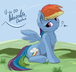 Size: 2700x2550 | Tagged: safe, artist:kigupony, rainbow dash, pegasus, pony, g4, cheek fluff, chest fluff, cute, dashabetes, dialogue, ear fluff, female, heart, high res, mare, offscreen character, sitting, solo, text