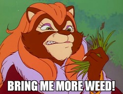 Size: 705x540 | Tagged: safe, edit, edited screencap, screencap, catrina, cat, anthro, g1, my little pony: escape from catrina, angry, bangles, cropped, drugs, female, image macro, marijuana, meme, solo, witchweed