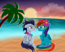 Size: 1000x800 | Tagged: safe, artist:linormusicbeatpone, rainbow dash, soarin', pony, g4, beach, blushing, female, floral necklace, flower, flower in hair, lei, male, palm tree, romantic, ship:soarindash, shipping, straight, sunset, tree