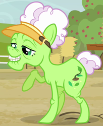 Size: 453x555 | Tagged: safe, screencap, auntie applesauce, earth pony, pony, apple family reunion, g4, cropped, elderly, female, mare, raised hoof, solo, visor