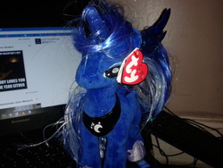 Size: 2560x1920 | Tagged: safe, artist:westrail642fan, princess luna, pony, g4, computer, irl, laptop computer, photo, plushie, solo