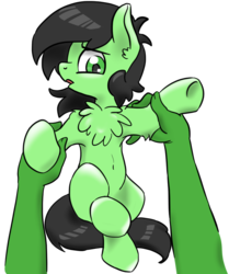 Size: 885x1058 | Tagged: safe, artist:lockhe4rt, oc, oc only, oc:anon, oc:filly anon, pony, belly button, chest fluff, disembodied hand, ear fluff, female, filly, hand, holding a pony, imminent petting, imminent rape, imminent sex, looking at you, open mouth, shiny mane, simple background, transparent background