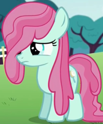 Size: 625x750 | Tagged: safe, screencap, bubblegum brush, earth pony, pony, crusaders of the lost mark, g4, cropped, female, filly, foal, hair extensions, long mane, solo