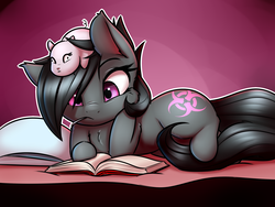 Size: 2400x1800 | Tagged: safe, artist:captainpudgemuffin, oc, oc only, oc:toxxie, earth pony, guinea pig, pony, :i, bed, book, derp, fluffy, frown, gradient background, mouth hold, prone, reading, wide eyes