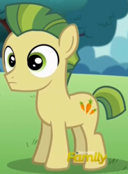 Size: 557x758 | Tagged: safe, screencap, carrot crunch, earth pony, pony, crusaders of the lost mark, g4, colt, cropped, discovery family, discovery family logo, foal, male, solo