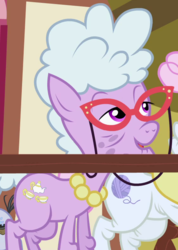 Size: 565x795 | Tagged: safe, screencap, chelsea porcelain, mr. waddle, pearly stitch, earth pony, pony, g4, the mysterious mare do well, background pony, cropped, elderly, female, glasses, jewelry, liver spots, mare, necklace, pearl necklace, solo focus