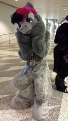 Size: 540x960 | Tagged: safe, oc, oc only, oc:cyclone spynn, oc:cyclonespynn, human, belt, fursuit, irl, photo