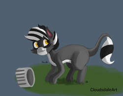 Size: 9020x7080 | Tagged: safe, artist:cloudsdaleart, oc, oc only, oc:bandy cyoot, pony, raccoon, raccoon pony, absurd resolution, caught, solo