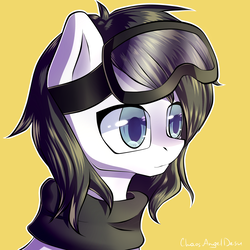 Size: 2000x2000 | Tagged: safe, artist:chaosangeldesu, oc, oc only, oc:snowbound, earth pony, pony, bust, clothes, female, goggles, high res, mare, portrait, scarf, solo