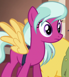 Size: 823x924 | Tagged: safe, screencap, mint condition, ocean spray, earth pony, pony, g4, stranger than fan fiction, background pony, blank flank, fake wings, female, mare, pit stain, solo focus