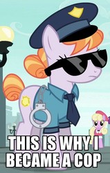 Size: 472x740 | Tagged: safe, edit, edited screencap, screencap, copper top, luckette, silver berry, g4, the gift of the maud pie, clothes, cuffs, hat, image macro, meme, police pony, sunglasses