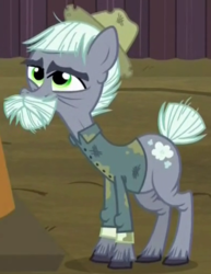 Size: 390x505 | Tagged: safe, screencap, dusty mccolt, earth pony, pony, g4, the hooffields and mccolts, cropped, male, mccolt family, solo