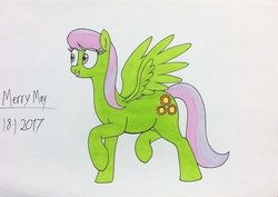 Size: 2291x1620 | Tagged: safe, artist:killerteddybear94, merry may, pegasus, pony, g4, background pony, female, raised hoof, raised leg, simple background, smiling, solo, spread wings, traditional art, white background
