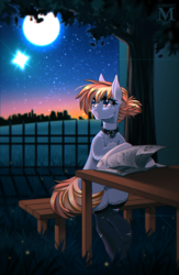 Size: 781x1200 | Tagged: safe, artist:margony, oc, oc only, earth pony, pony, clothes, collar, female, full moon, grass, looking at something, mare, moon, newspaper, scenery, scenery porn, sitting, socks, solo, stars, stockings, sunset, thigh highs, tree