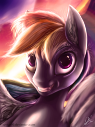 Size: 3000x4000 | Tagged: safe, artist:smowu, rainbow dash, pony, g4, bust, female, high res, portrait, solo, sunset