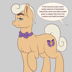Size: 1280x1280 | Tagged: safe, artist:askamberfawn, oc, oc only, oc:sweet brew, pony, androgynous, solo