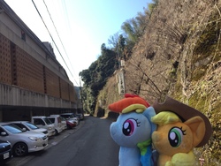 Size: 1280x960 | Tagged: safe, artist:setorin5, artist:traveling-ponies, applejack, rainbow dash, g4, 4de, car, irl, japan, photo, plushie, ponies around the world, ruins