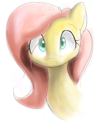 Size: 1936x2176 | Tagged: safe, artist:ando, fluttershy, pony, g4, cute, female, looking at you, shyabetes, simple background, solo, white background