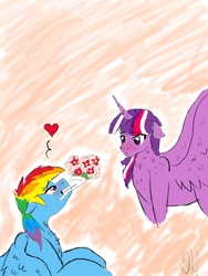 Size: 600x800 | Tagged: safe, artist:captainloafnugget, rainbow dash, twilight sparkle, alicorn, pegasus, pony, g4, bouquet, duo, female, heart, lesbian, ship:twidash, shipping, simple background, twilight sparkle (alicorn)