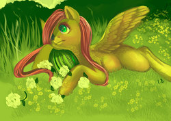 Size: 900x636 | Tagged: safe, artist:php154, fluttershy, pony, g4, female, flower, fluffy, grass, meadow, prone, solo