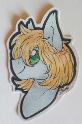 Size: 2443x3711 | Tagged: safe, artist:cloud-drawings, oc, oc only, oc:shiro, pony, gift art, high res, male, signature, simple background, smiling, solo, stallion, traditional art