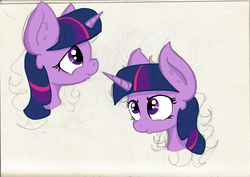 Size: 2107x1492 | Tagged: safe, artist:paskanaakka, derpibooru exclusive, twilight sparkle, pony, g4, bust, ear fluff, expressions, female, portrait, simple background, solo