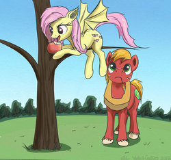Size: 800x750 | Tagged: safe, artist:el-yeguero, big macintosh, fluttershy, bat pony, earth pony, pony, g4, apple, eyes on the prize, female, flutterbat, food, looking at butt, looking up, male, mare, race swap, ship:fluttermac, shipping, stallion, straight, straw in mouth, tree