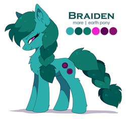 Size: 1200x1137 | Tagged: safe, artist:hioshiru, oc, oc only, oc:braiden, earth pony, pony, reference sheet, simple background, solo, white background