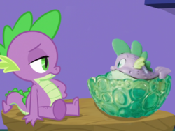 Size: 2048x1536 | Tagged: safe, spike, dragon, puffer fish, g4, my little pony: the movie, what about discord?, duo, pufferfish drama, spike drama, spike is not amused, spike the pufferfish, that was fast