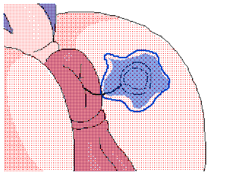 accidental anal tgp Accidental anal tgp