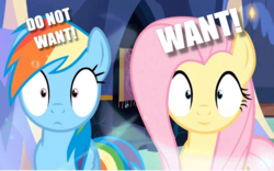 Size: 683x426 | Tagged: safe, edit, edited screencap, screencap, fluttershy, rainbow dash, every little thing she does, g4, do not want, fiducia compellia, image macro, meme, mind control, reaction image, shrunken pupils, varying degrees of want