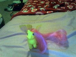 Size: 640x480 | Tagged: safe, artist:g3rainbowdash, starry wings (g1), pony, g1, bed, irl, photo, solo, toy, windy wing ponies