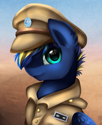 Size: 1446x1764 | Tagged: safe, artist:pridark, oc, oc only, oc:disco waffle, pegasus, pony, bust, clothes, commission, hat, male, military, portrait, solo, stallion