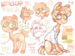 Size: 2266x1680 | Tagged: safe, artist:stargee, oc, oc only, oc:bottlecap, pony, ponysona, reference sheet, solo