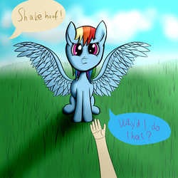 Size: 1000x1000 | Tagged: safe, artist:shaliwolf, rainbow dash, human, pegasus, pony, g4, grass, hand, looking at you, offscreen character, speech bubble, spread wings