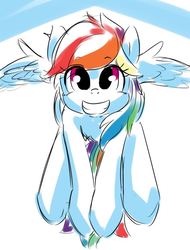 Size: 567x746 | Tagged: safe, artist:gamijack, rainbow dash, pegasus, pony, g4, female, looking at you, sketch, smiling, solo, wings