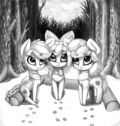 Size: 950x1000 | Tagged: safe, artist:limchph2, apple bloom, scootaloo, sweetie belle, g4, black and white, campfire, cutie mark crusaders, forest, grayscale, monochrome, snow