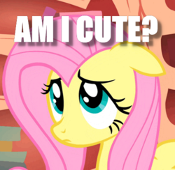 Size: 468x456 | Tagged: safe, fluttershy, pony, g4, cute, female, floppy ears, image macro, insecure, meme, puppy dog eyes, question, shyabetes, solo