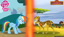 Size: 1024x590 | Tagged: safe, artist:kimmyartmlp, rainbow dash, cheetah, pegasus, pony, g4, crossover, duo, female, folded wings, fuli, gritted teeth, mare, the lion guard, the lion king, watermark