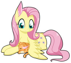 Size: 1981x1753 | Tagged: safe, artist:cloureed, fluttershy, cat, pegasus, pony, g4, bandage, cute, shyabetes, simple background, sleeping, transparent background