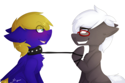 Size: 2605x1741 | Tagged: safe, artist:oddends, oc, oc only, oc:black forest, oc:cloud quake, pony, collar, gay, glasses, grin, leash, male, simple background, smiling, stallion, transparent background