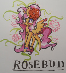 Size: 1264x1406 | Tagged: safe, artist:biskhuit, oc, oc only, oc:rosebud, alicorn, pony, colored wings, colored wingtips, female, mare, solo, traditional art
