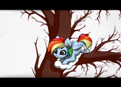 Size: 2500x1800 | Tagged: safe, artist:limchph2, rainbow dash, pony, g4, cloud, female, looking at something, looking down, simple background, solo, tree, tree branch