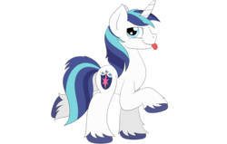 Size: 2760x1760 | Tagged: safe, artist:coramino, shining armor, pony, unicorn, g4, cute, male, raised hoof, shining adorable, silly, silly pony, simple background, solo, tongue out, transparent background, unshorn fetlocks