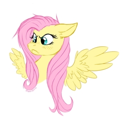 Size: 800x800 | Tagged: safe, artist:stargryph, fluttershy, pegasus, pony, g4, angry, bust, ears back, female, grumpy, looking at something, mare, messy mane, portrait, simple background, solo, spread wings, white background