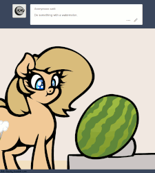 Size: 1280x1420 | Tagged: safe, artist:slavedemorto, oc, oc only, oc:backy, pony, animated, ask, food, gif, how, scrunchy face, solo, tumblr, wat, watermelon