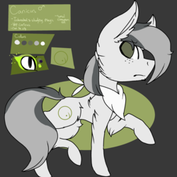 Size: 2560x2560 | Tagged: safe, artist:brokensilence, oc, oc only, oc:canicus, pony, clothes, cute, cutie mark, fluffy, freckles, high res, magic, male, reference sheet, scarf, solo, worried