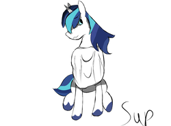 Size: 1280x947 | Tagged: safe, artist:supraphary, shining armor, pony, unicorn, g4, clothes, male, solo, sweater, unshorn fetlocks