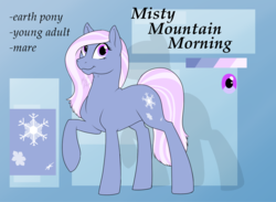 Size: 1145x840 | Tagged: safe, artist:mythpony, oc, oc only, oc:misty mountain morning, earth pony, pony, female, mare, raised hoof, reference sheet, solo